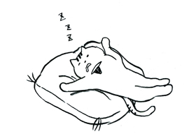 Tatenyan Illustration